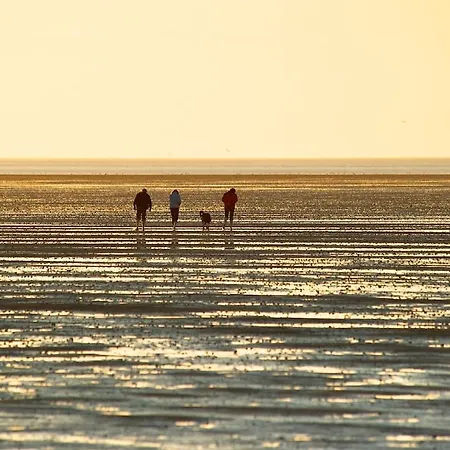 Mit Nordseeblick! De Swolk アパート ドルム・ノイフェルト